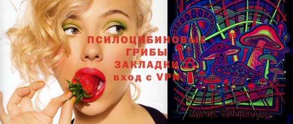 COCAINE Каменка