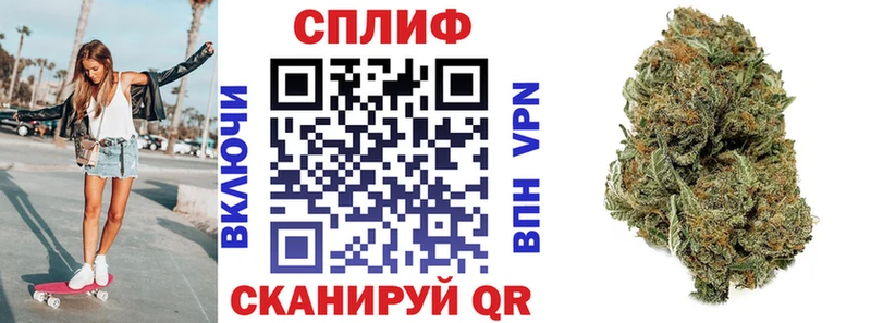 Канабис индика Баксан